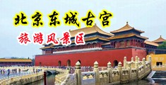 操逼骚逼骚中国北京-东城古宫旅游风景区